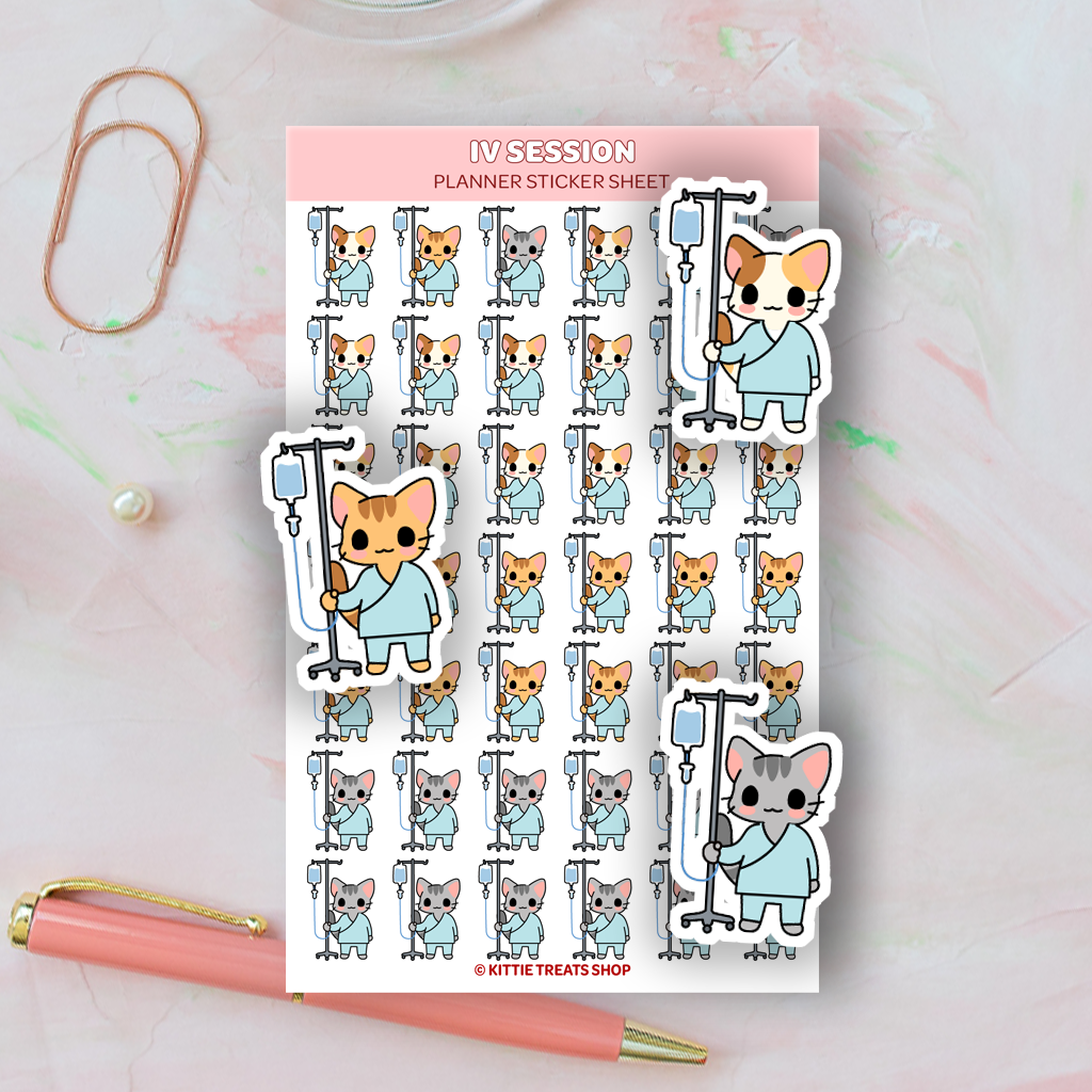 Next Session Sticker IV Session Planner Sticker Sheet – Kittie Treats Shop